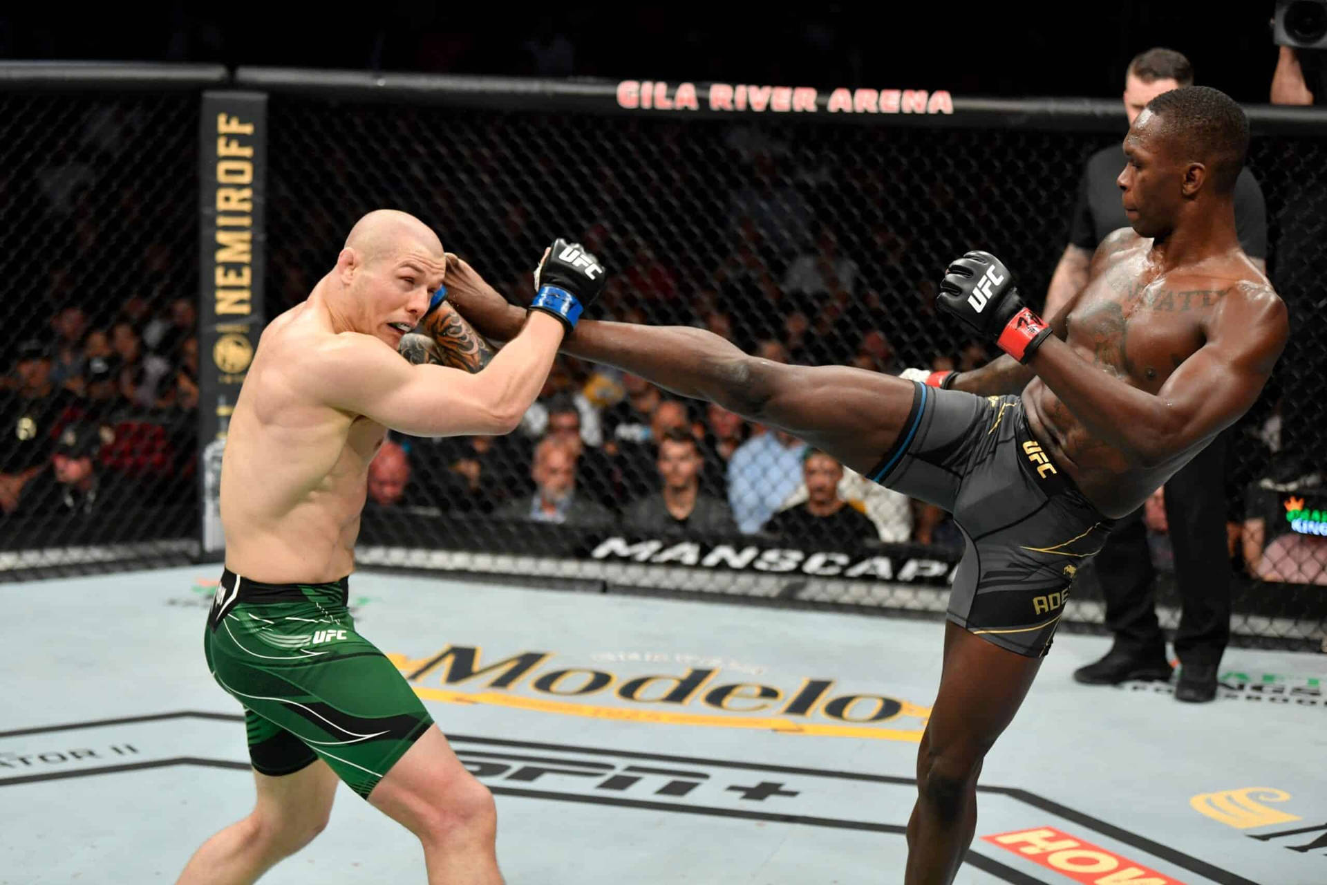 兩名MMA拳手在現場賽事中於UFC八角籠內交戰。