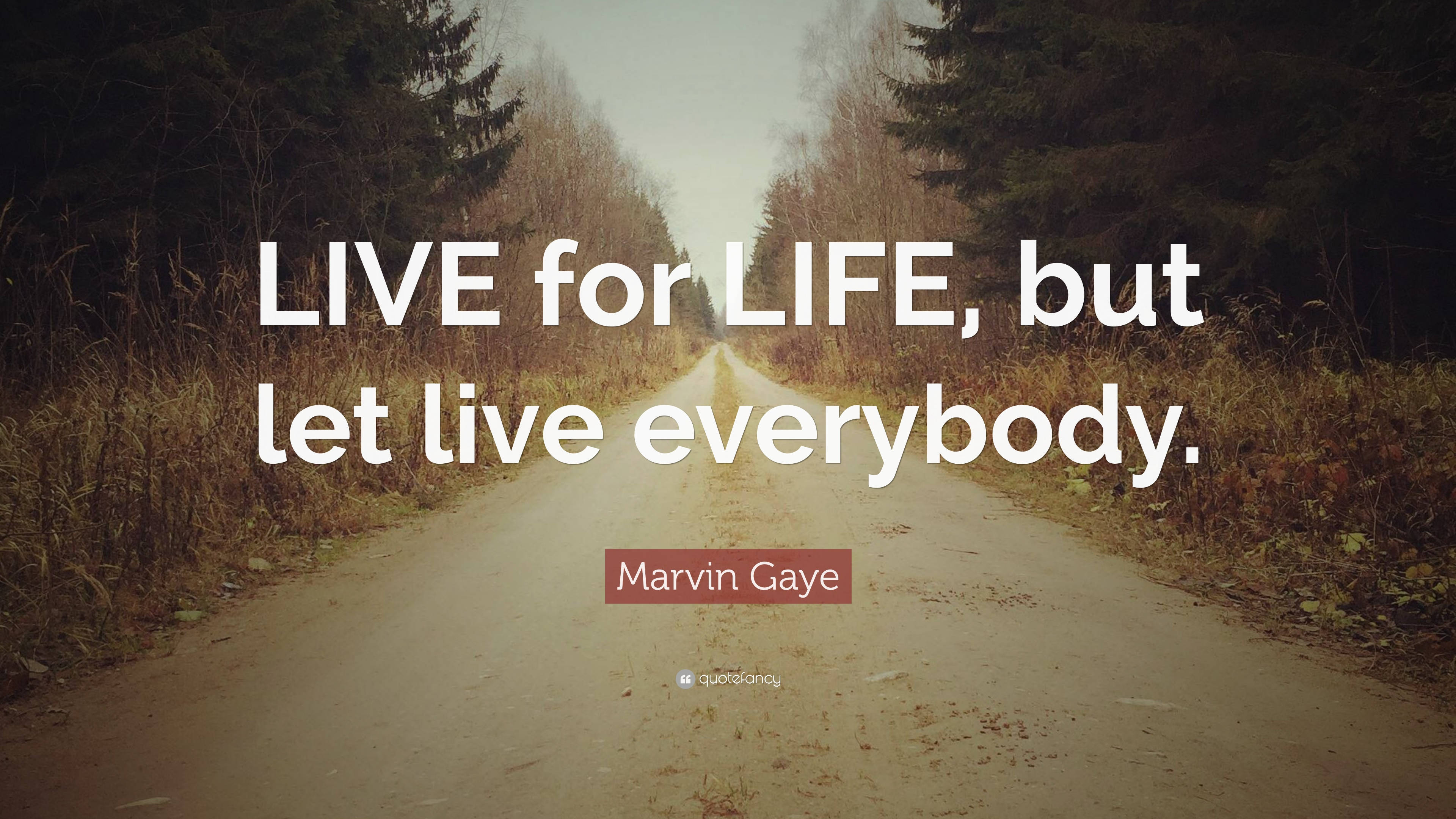 馬文·蓋伊《Live For Life》名言 壁紙 — 一條蜿蜒的泥路穿過秋天的樹林，上面覆蓋著粗體白色文字的勵志名言。