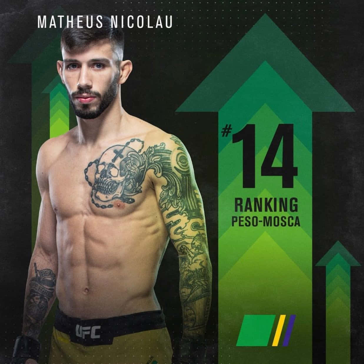 UFC拳手馬特烏斯·尼古勞在蠅量級排名第14位，附綠色箭頭圖形。