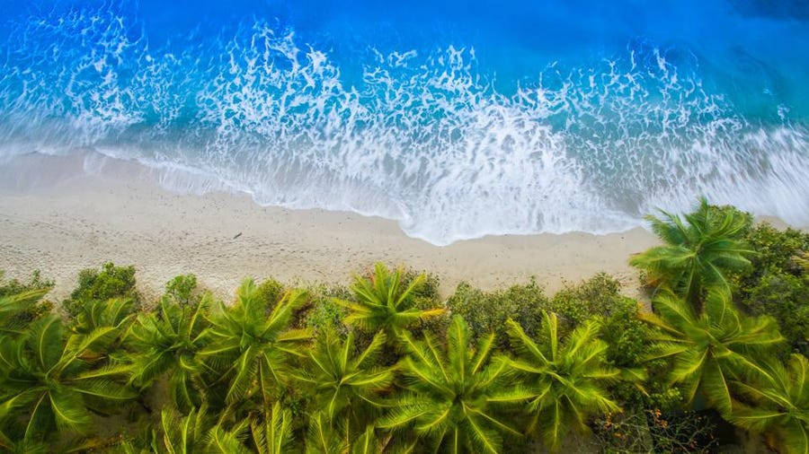 馬紹爾群島灣畔樹林 壁紙 — 從高空俯瞰，碧綠色的海浪拍打著白色沙灘，沙灘兩旁種滿了茂密的綠色棕櫚樹。