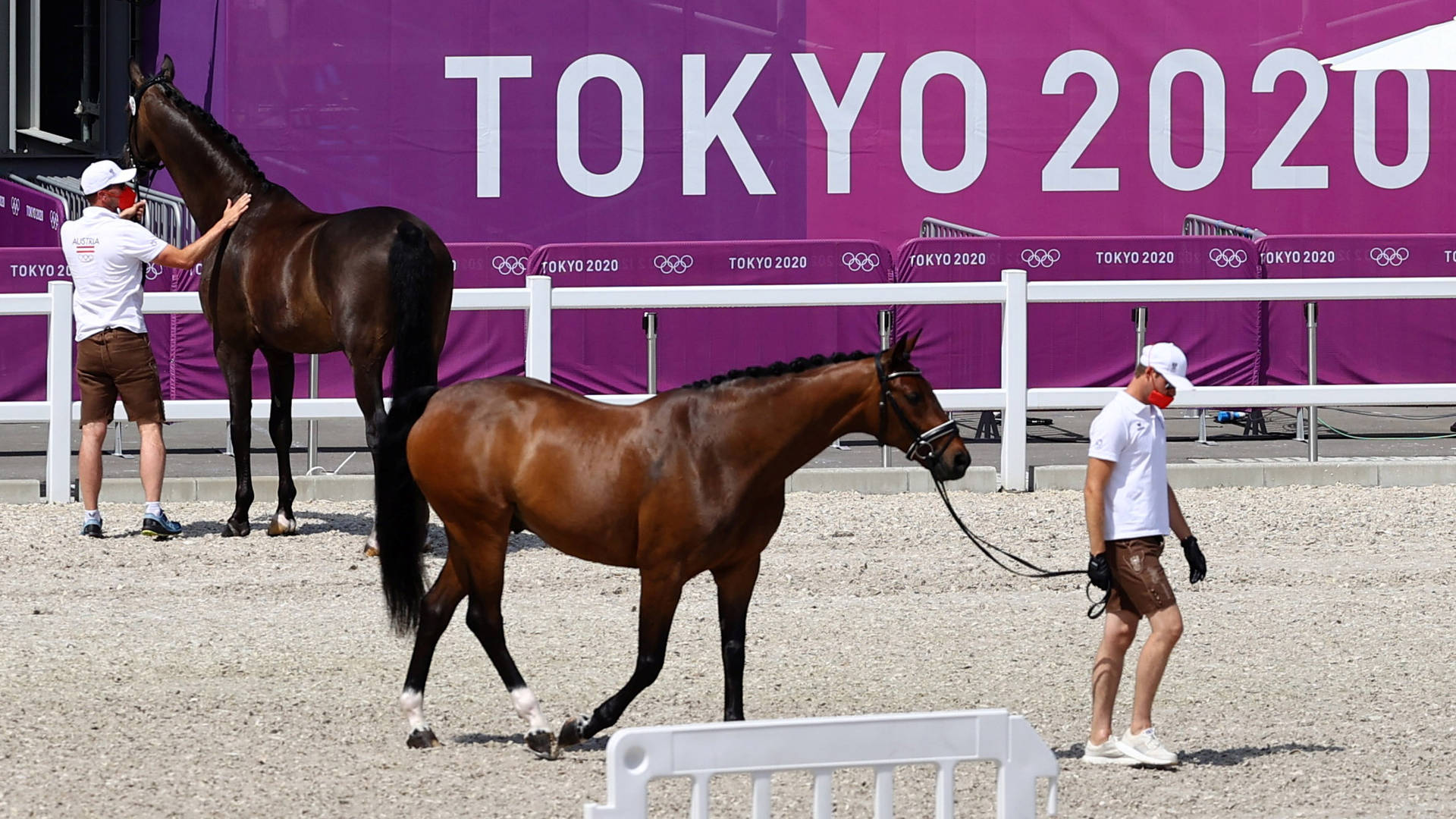 馬術盛裝舞步馬匹檢閱東京2020奧運 壁紙 — 兩名馴馬師在明亮的東京2020奧運橫幅下，引導著優雅的棕色馬匹穿過碎石場地。