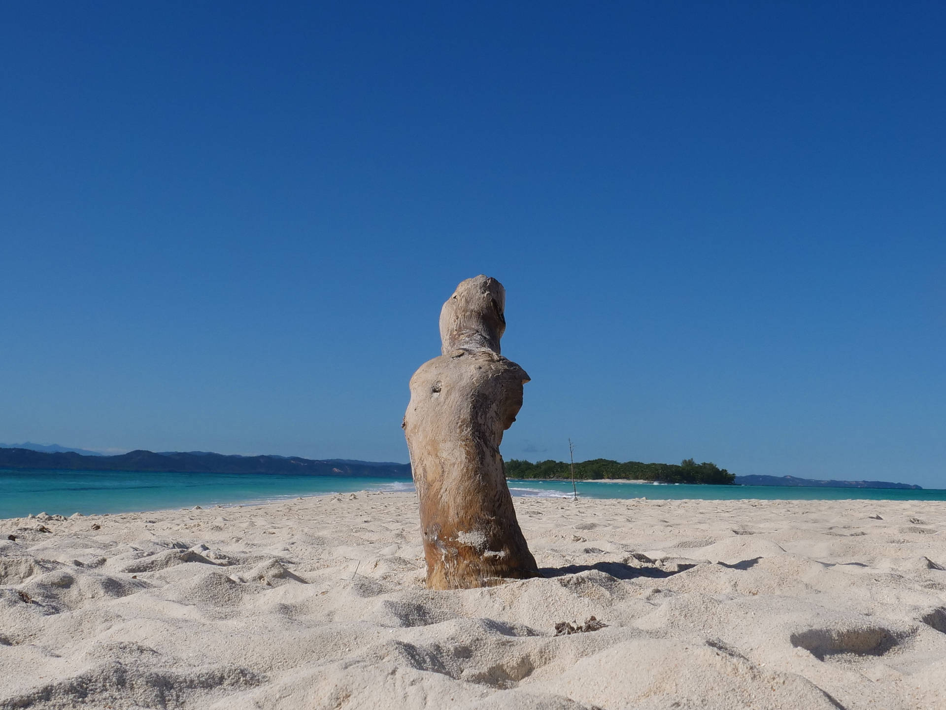 陽光沙灘上的漂流木雕塑，碧綠的海水和遠處的島嶼。