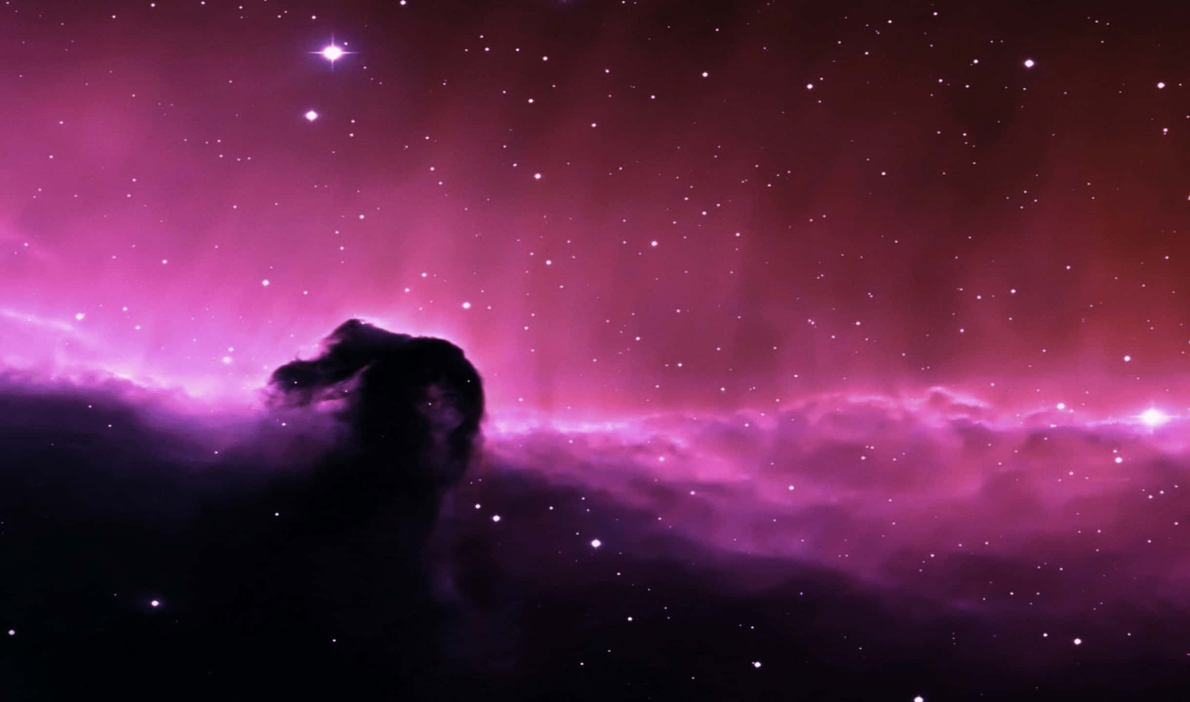 馬頭星雲 2440x1440 監視器背景 壁紙 — 一個黑暗星雲的宇宙剪影，映襯著充滿活力的紫色和粉紅色星場，並有發光的宇宙塵埃。