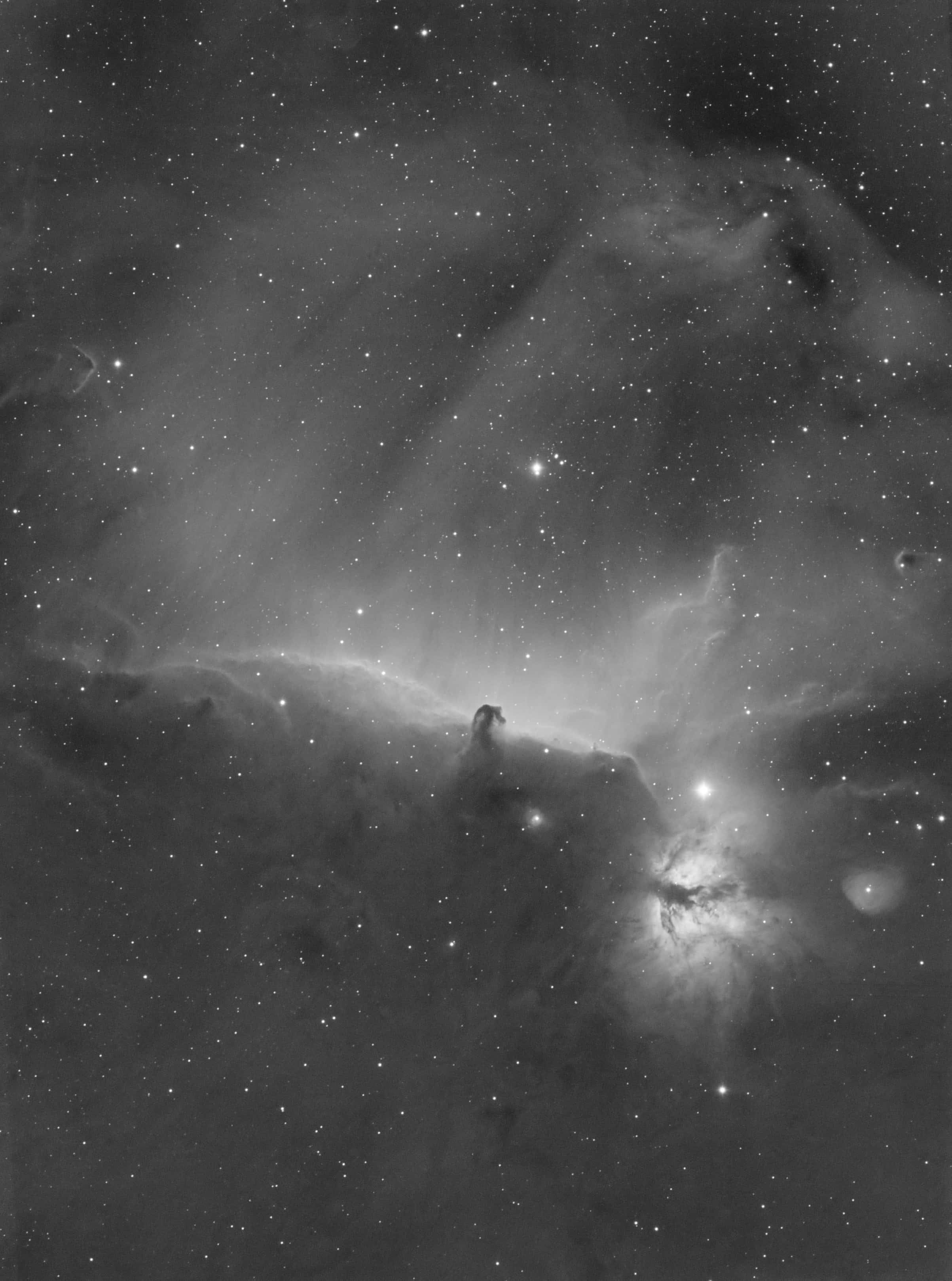 Horsehead Nebula 桌布 壁紙 — 馬頭星雲嘅單色視圖，喺星場中發光，伴隨住縹緲嘅宇宙雲同明亮嘅星點。