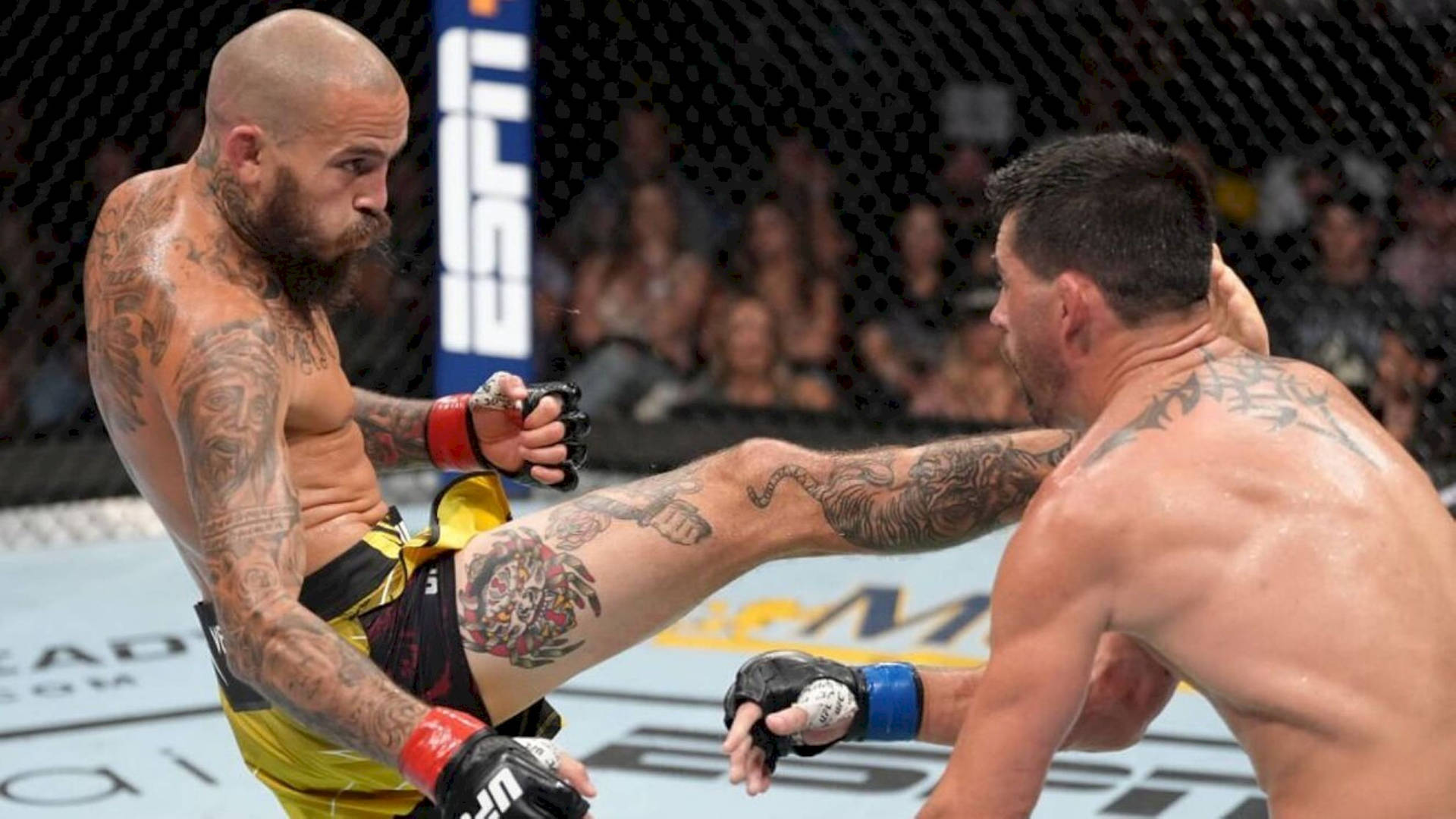 兩名男性拳手在MMA八角籠中交換高踢和格擋。