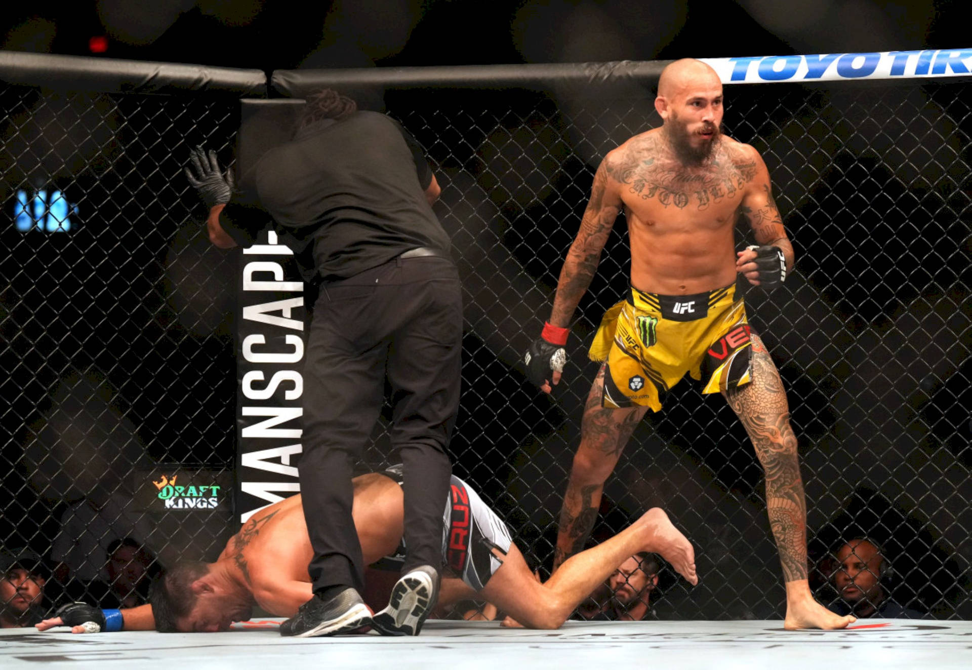 MMA拳手站在八角籠內倒下的對手之上，裁判正在檢查他。