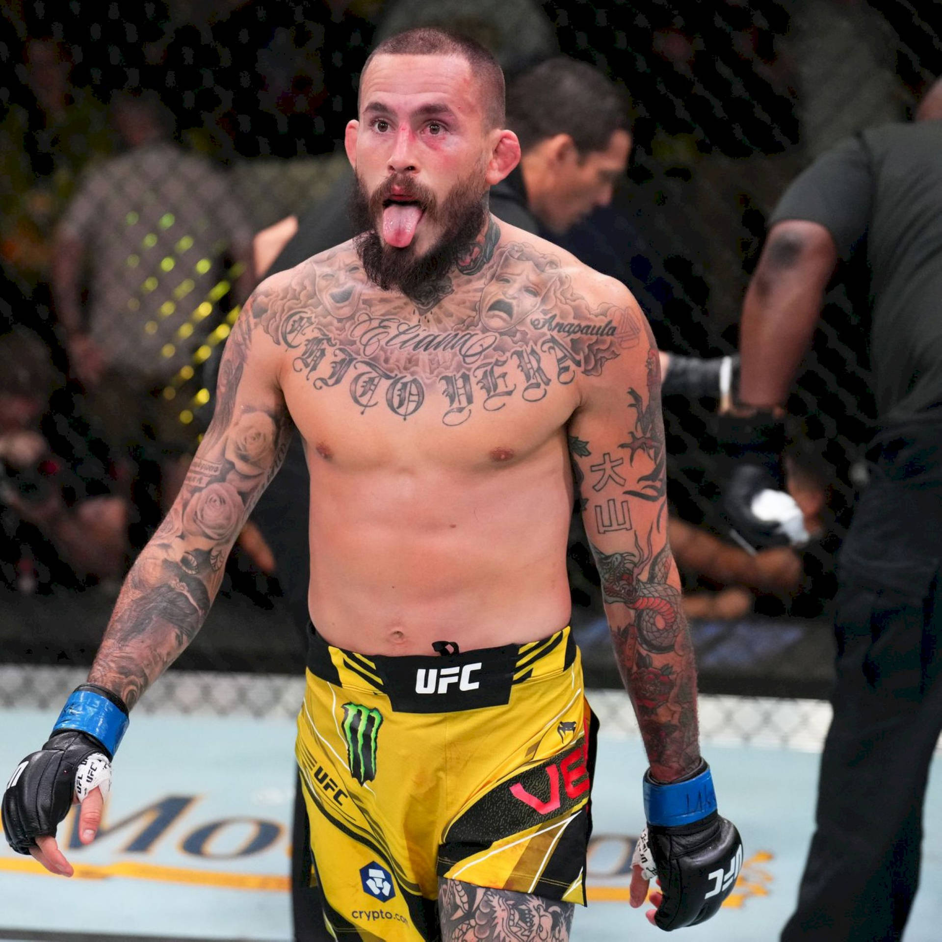 紋身的UFC拳手在八角籠內慶祝勝利。