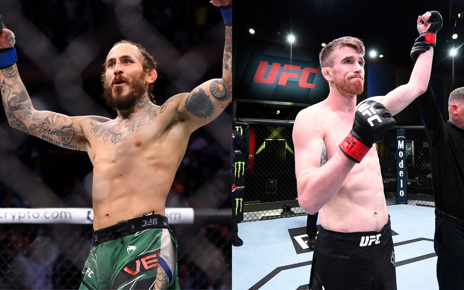兩位MMA拳手在UFC八角籠內舉起雙臂慶祝勝利。