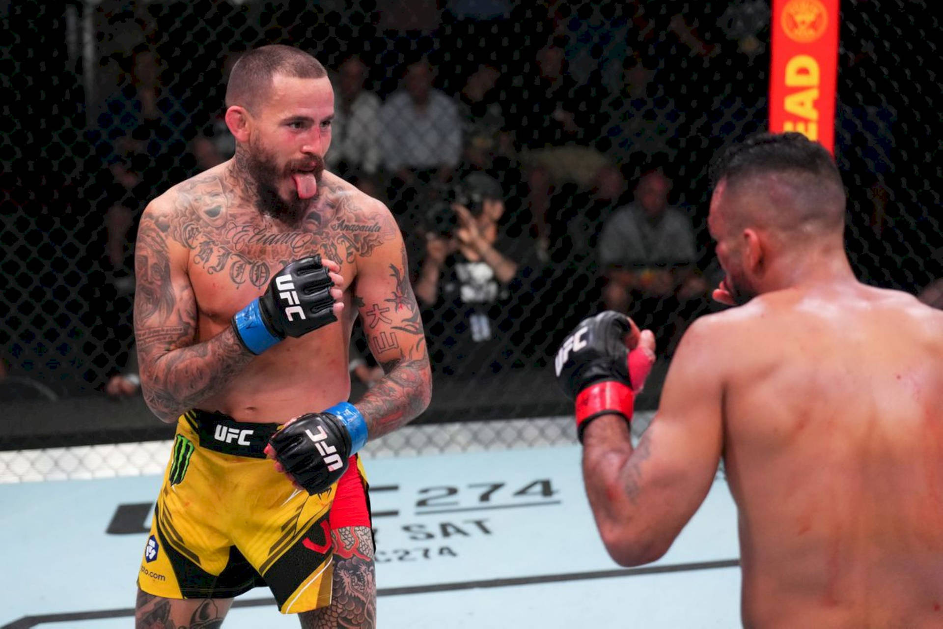 UFC比賽期間，八角籠中的兩名男性MMA拳手。