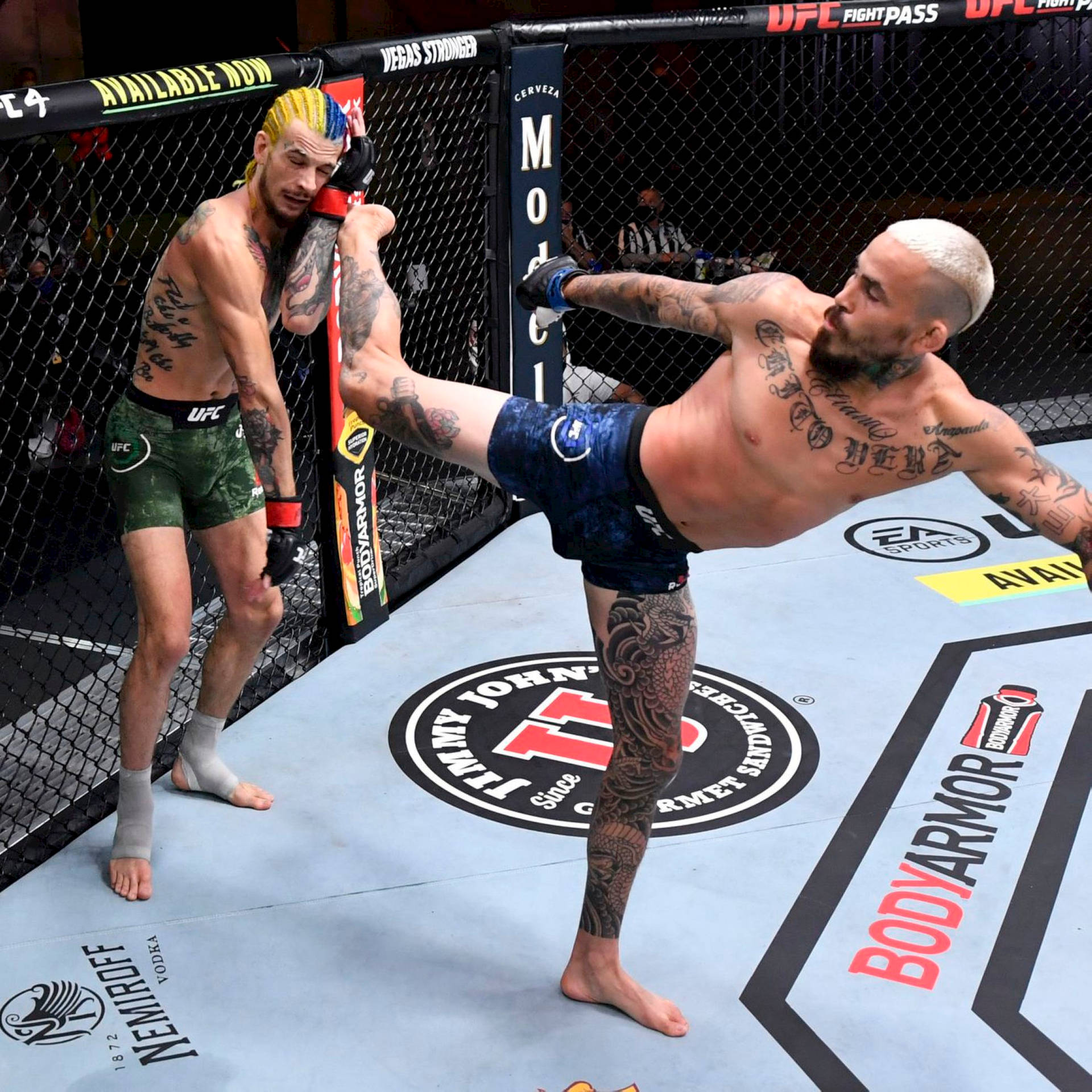 兩名男性MMA拳手在籠中，一人踢向另一人。