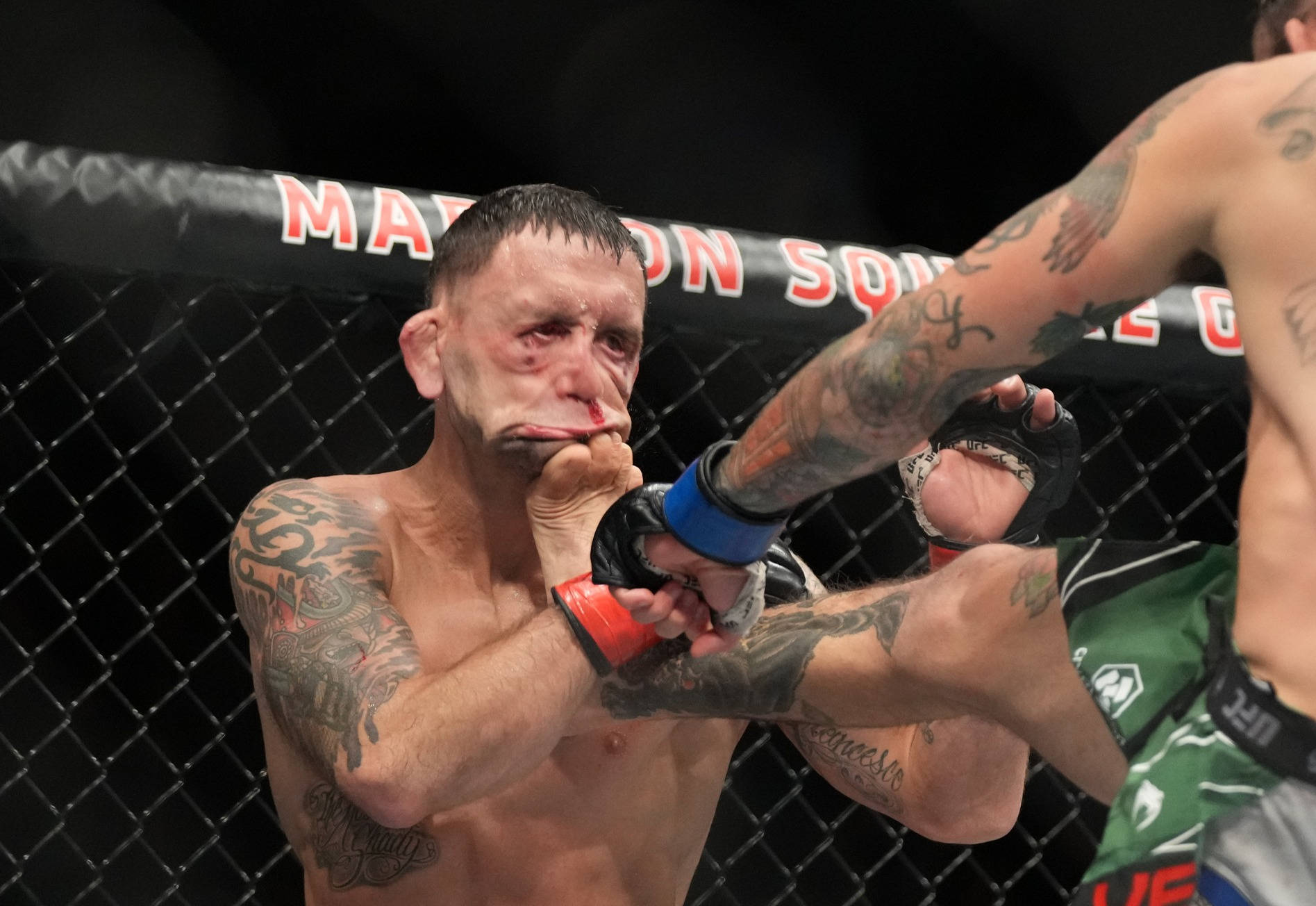 馬龍·維拉重拳擊打 壁紙 — 一位有紋身的MMA拳手在八角籠內阻擋拳擊時痛苦地扭曲表情。