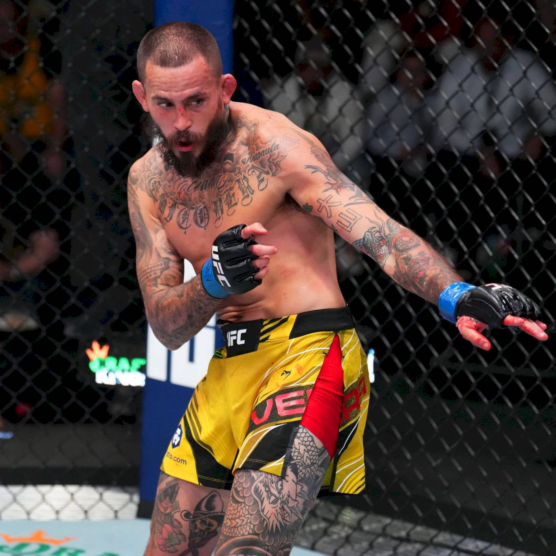 紋身的MMA拳手穿著黃色短褲，在UFC八角籠內向前猛衝。