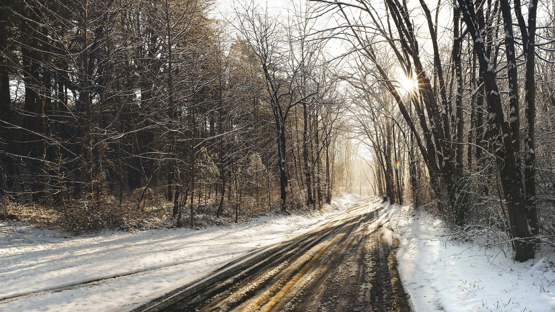 駕車探索世界 壁紙 — 陽光穿過光禿禿的冬季樹木，在灑滿白雪的森林小徑上投下長長的影子。