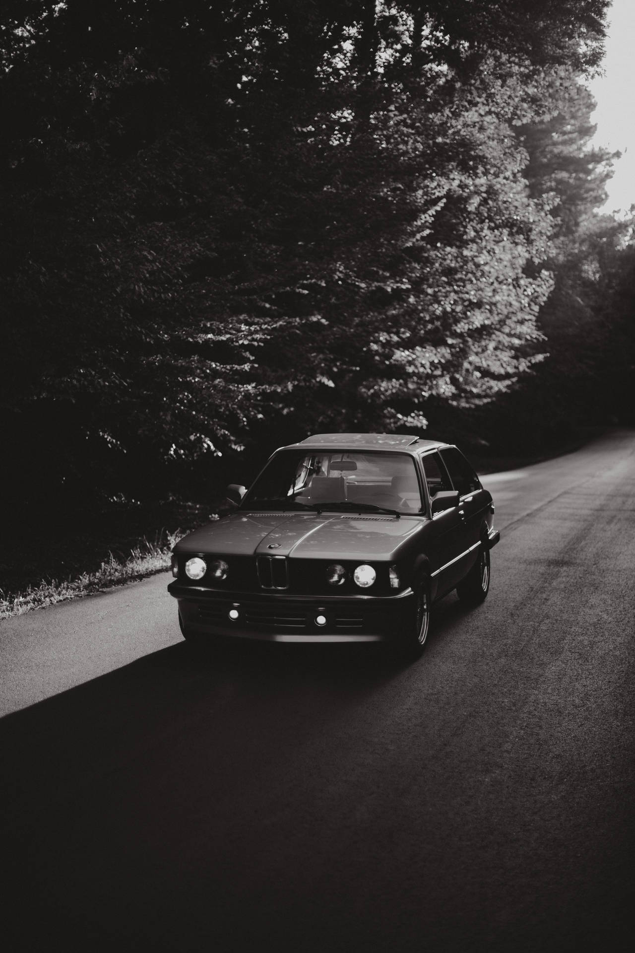 經典BMW E30房車在黃昏時分的森林道路上，黑白效果。