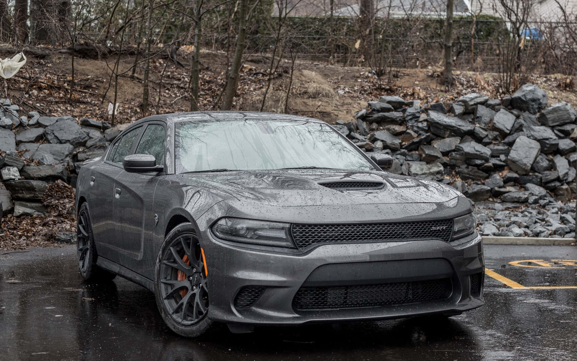 灰色 Dodge Charger 泊喺濕嘅停車場，近石牆同光禿禿嘅樹。