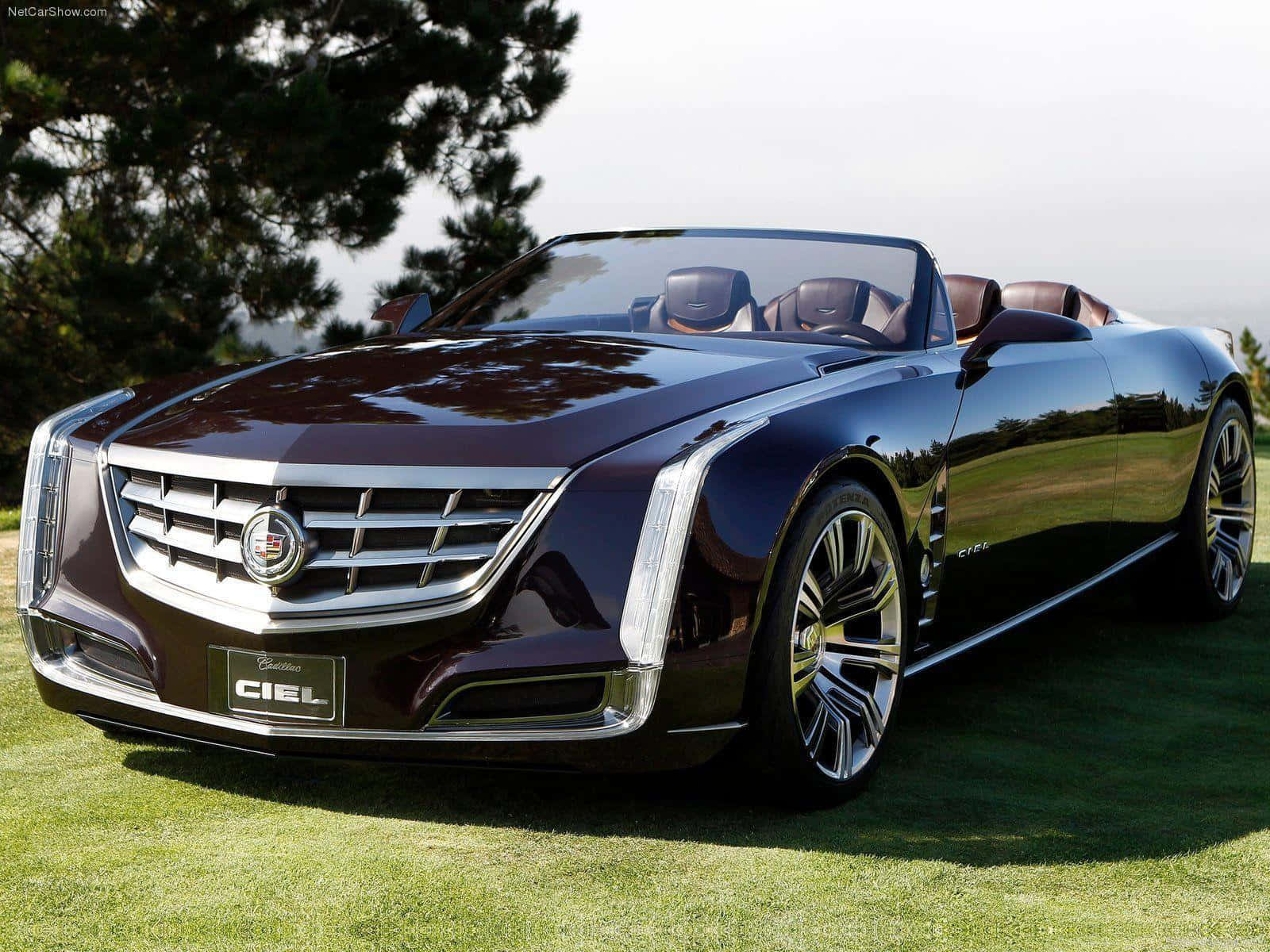 豪華栗色Cadillac Ciel敞篷車停在綠色草地上，後面有樹木。