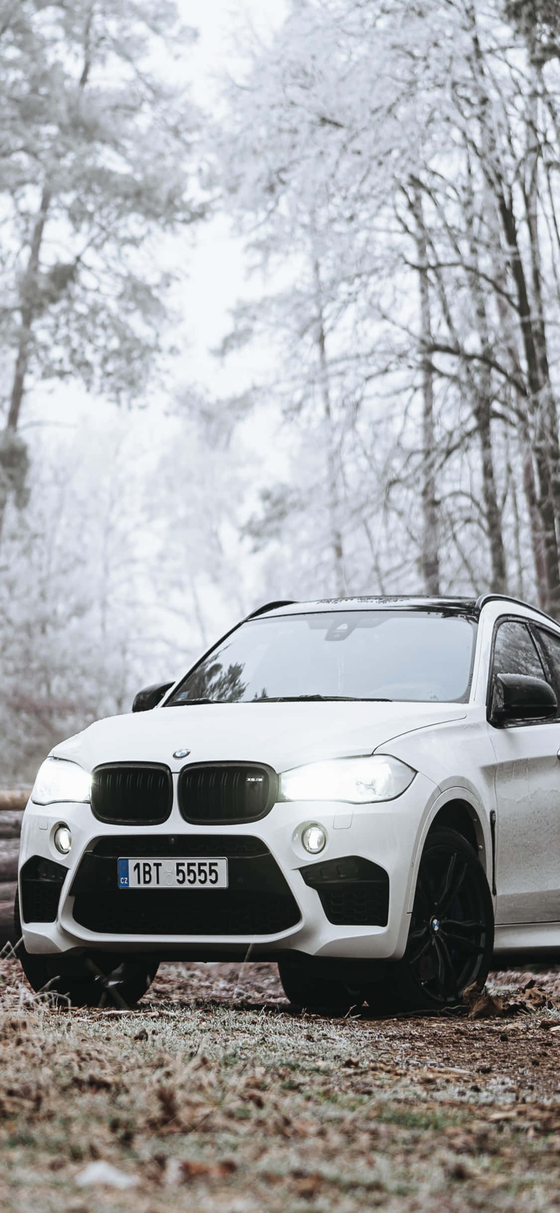 駕馭奢華：iPhone X與BMW 壁紙 — 一輛白色BMW SUV停泊在結霜的森林地面上，周圍是光禿禿的冬季樹木，光線柔和擴散。
