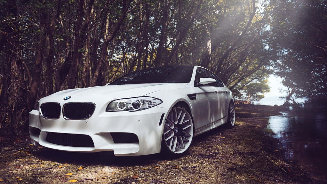 駕馭豪華 BMW，暢遊城市風景 壁紙 — 一架純白色BMW M5跑車停泊在森林小徑上，陽光穿過樹木灑落。