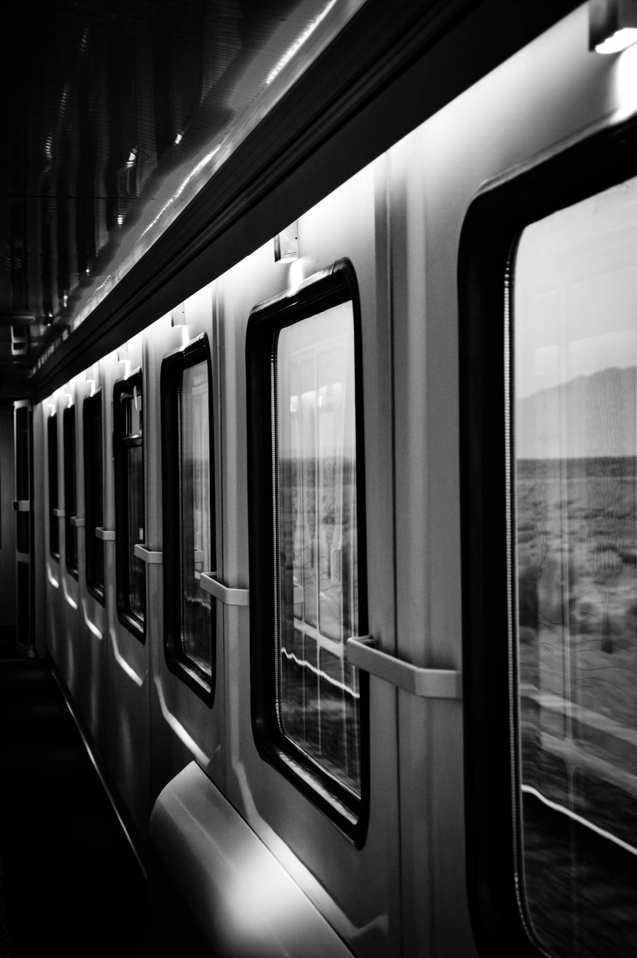 火車內部的黑白視圖，窗外有動態模糊。