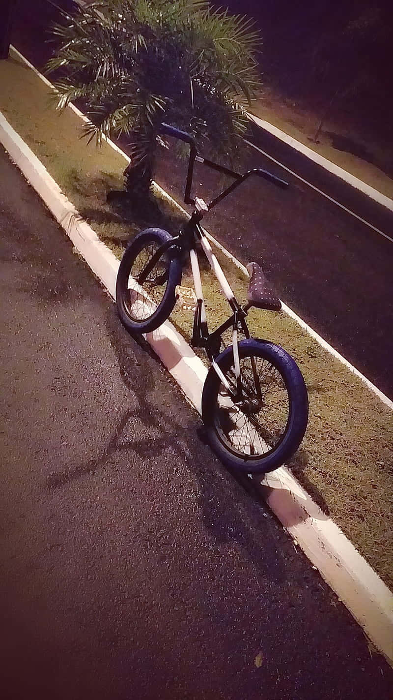 夜晚濕滑街道上棕櫚樹附近停泊嘅黑白BMX單車。