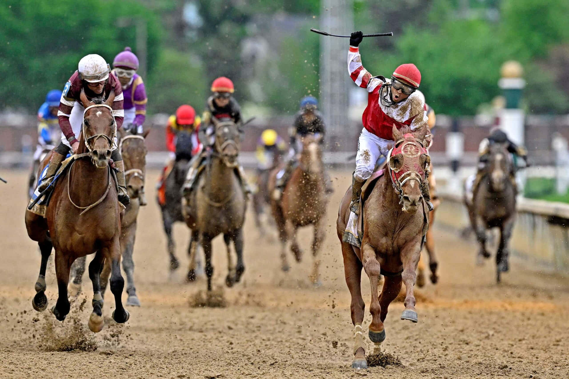 騎師高舉鞭子慶祝勝利，馬匹在泥濘比賽中獲勝。