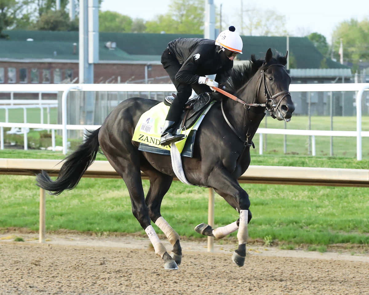 2022肯塔基德比馬匹照片 — 賽馬 壁紙