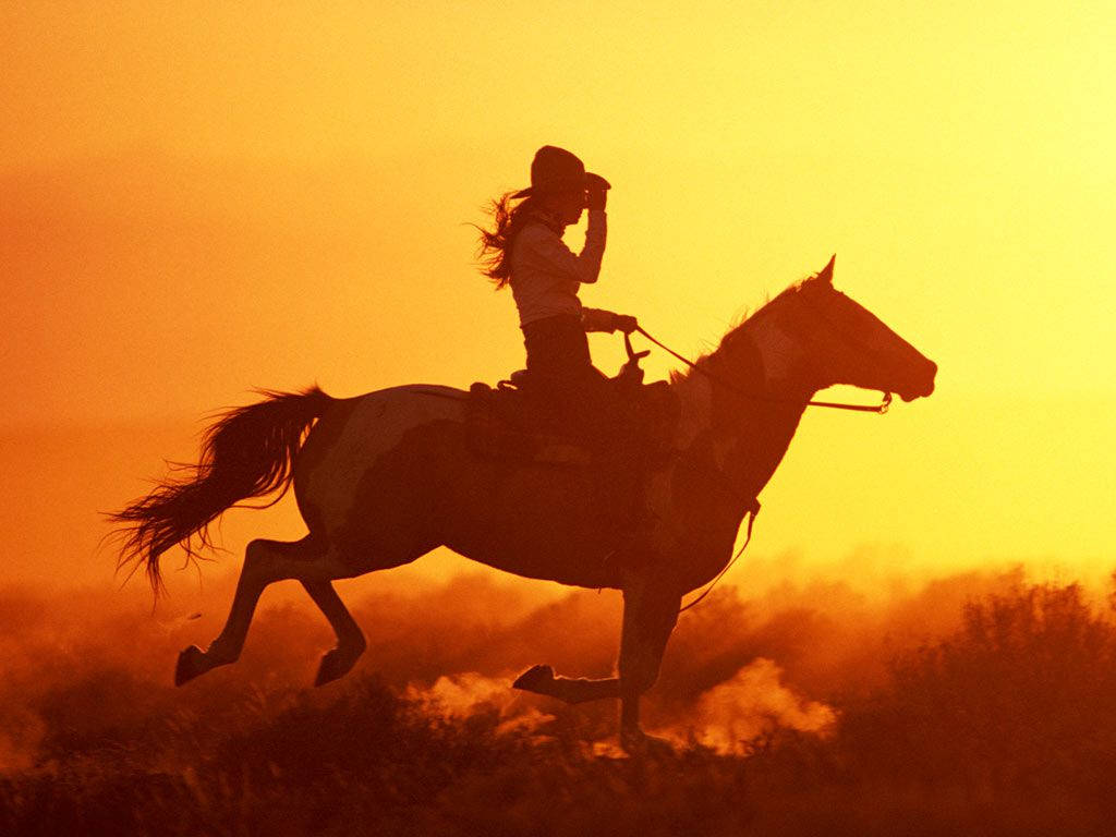 Silhouette 桌布 壁紙 — 騎手騎著奔騰的馬匹，在朦朧田野上以火紅橙色夕陽為背景的剪影。