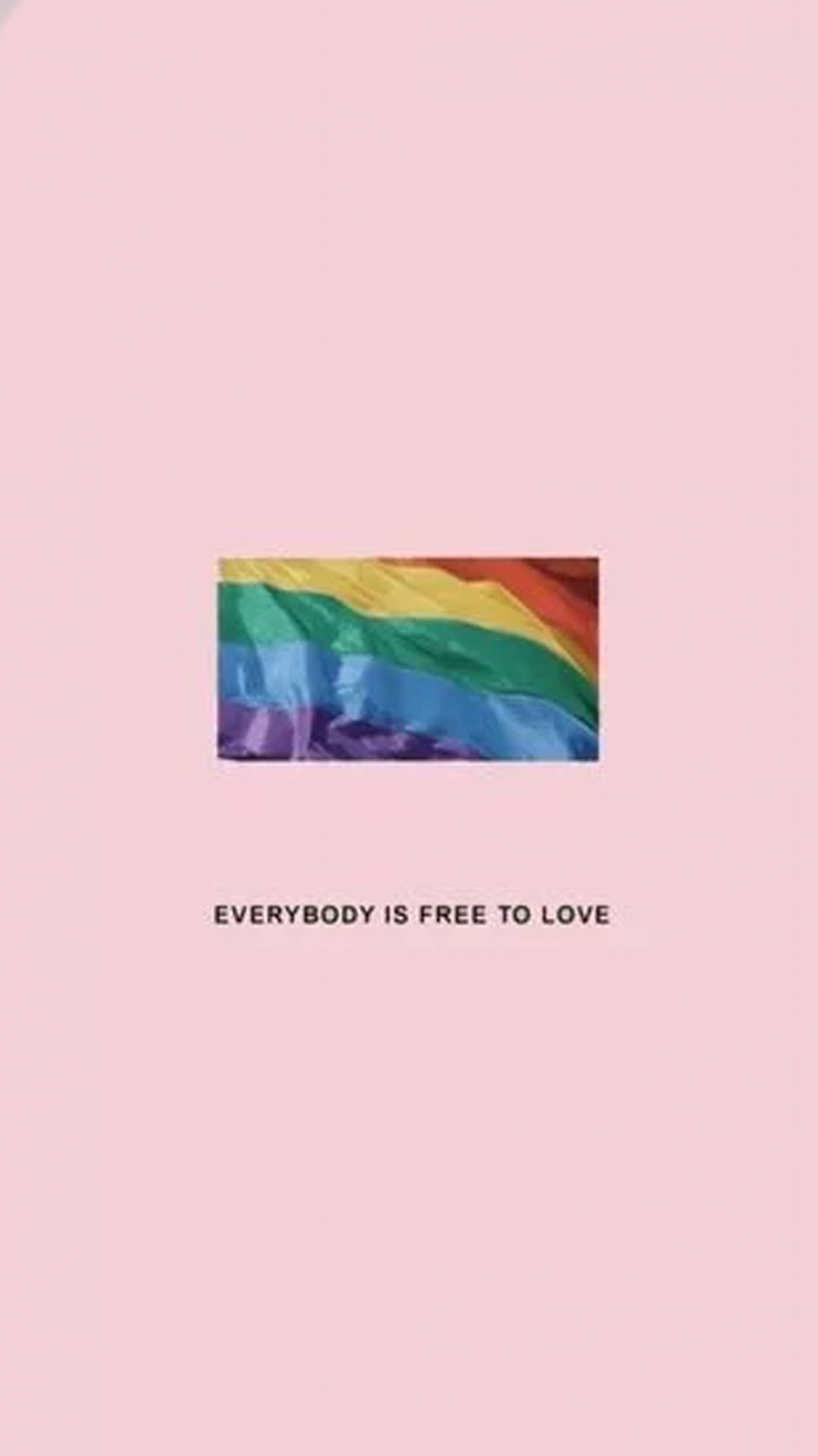 粉紅色背景上帶有文字 everybody is free to love 的彩虹旗
