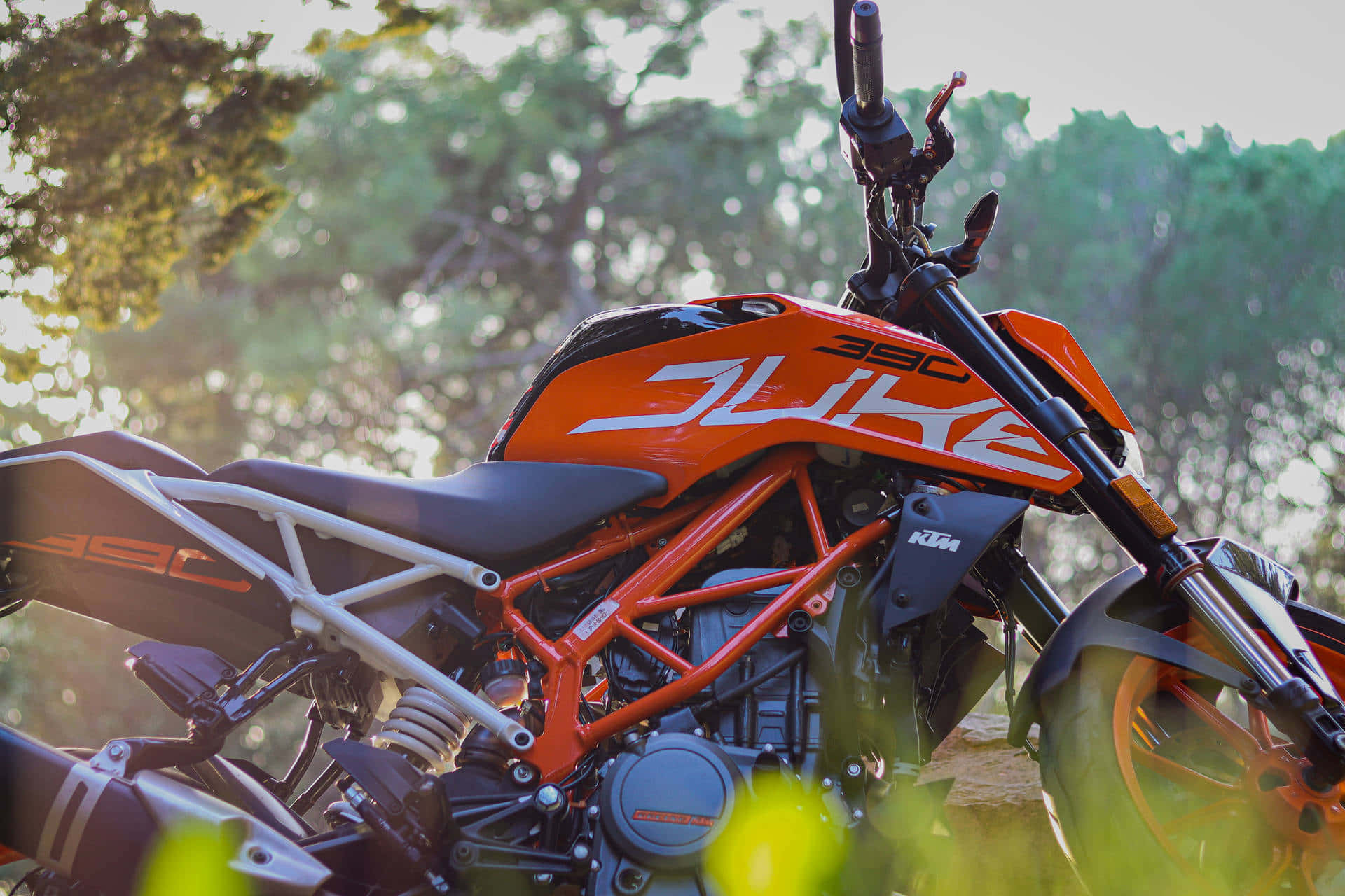 驚人的KTM 390系列機車背景 壁紙 — 一輛鮮豔的橙色KTM Duke 390電單車停泊在陽光普照的森林中，綠色樹葉呈現柔焦效果。
