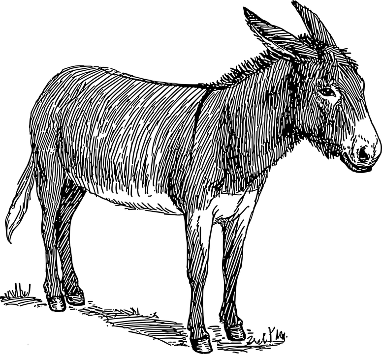 驢仔站立插畫 壁紙