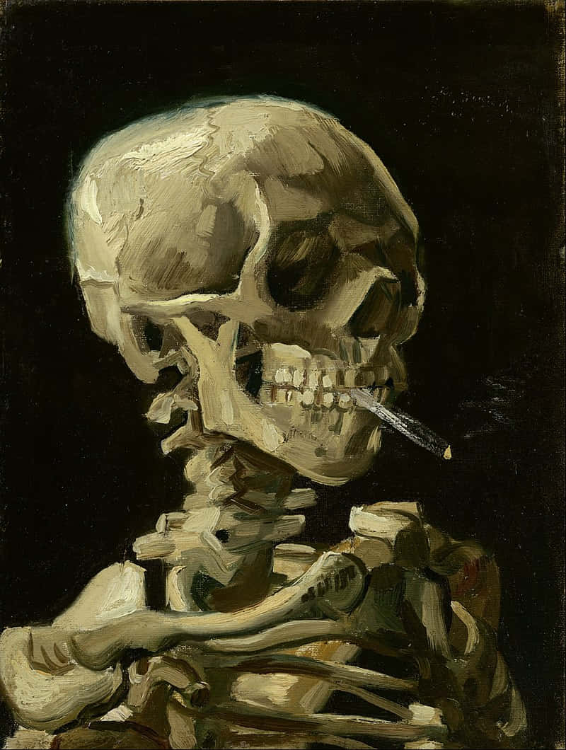 骷髏圖片 壁紙