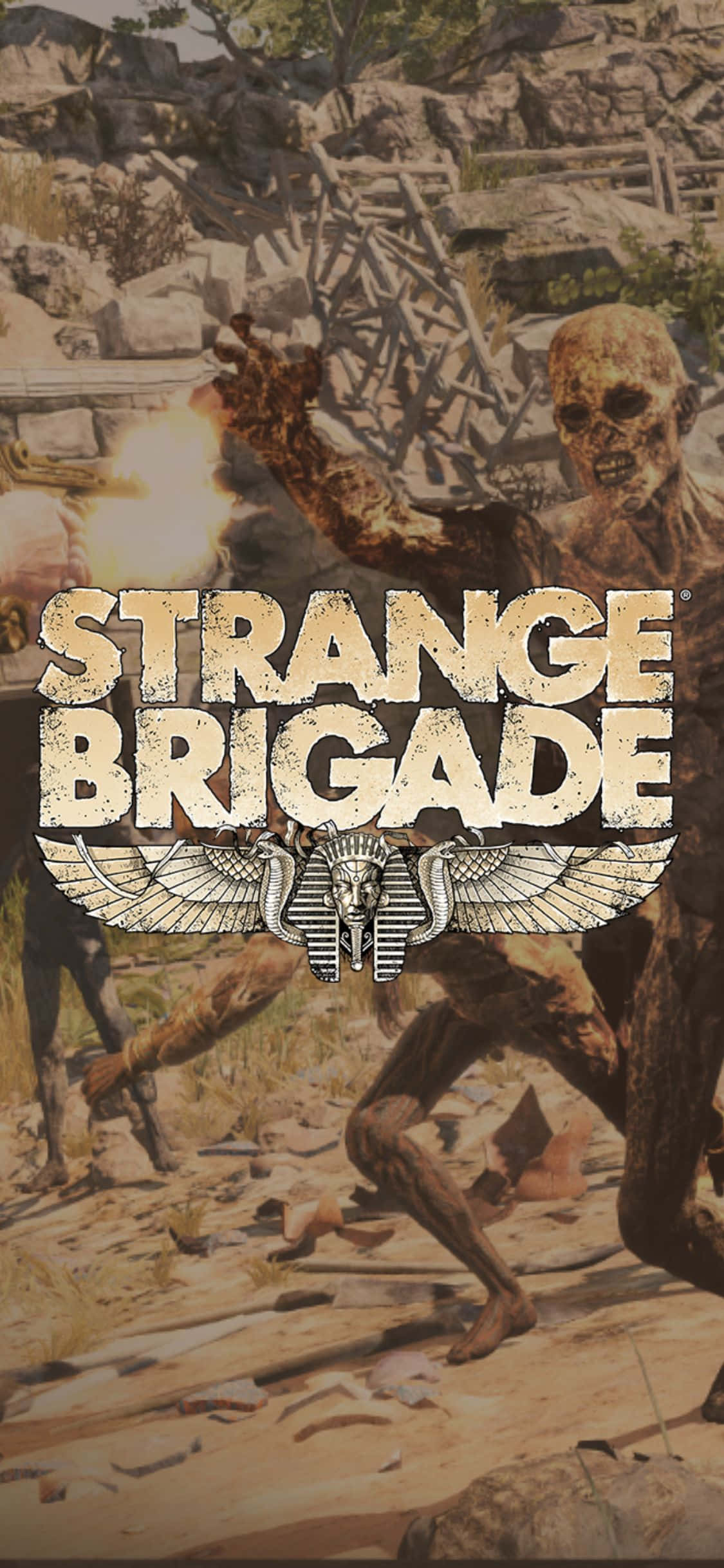 骷髏殭屍奔跑 iPhone X Strange Brigade 背景 壁紙 — 來自《Strange Brigade》的 gritty 動作場景，顯示怪物般的生物在岩石沙漠峽谷中攻擊。
