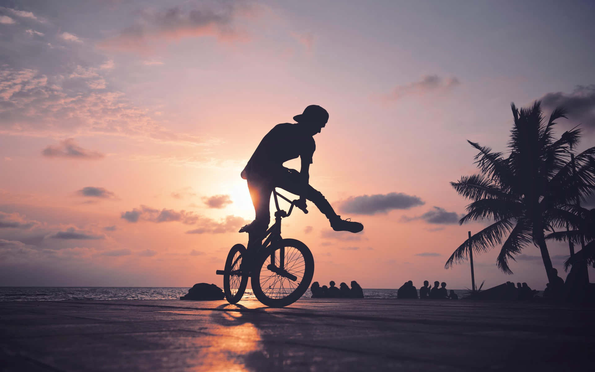 BMX車手剪影，以日落海灘為背景，有棕櫚樹和海洋