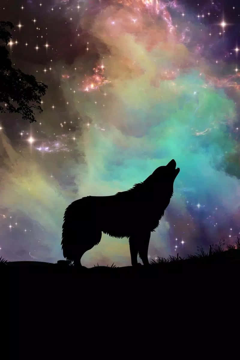 體驗《Cool Animal Galaxy》的無與倫比之美 壁紙 — 一匹孤狼的剪影對著充滿星星和彩色星雲的充滿活力的宇宙天空嚎叫。