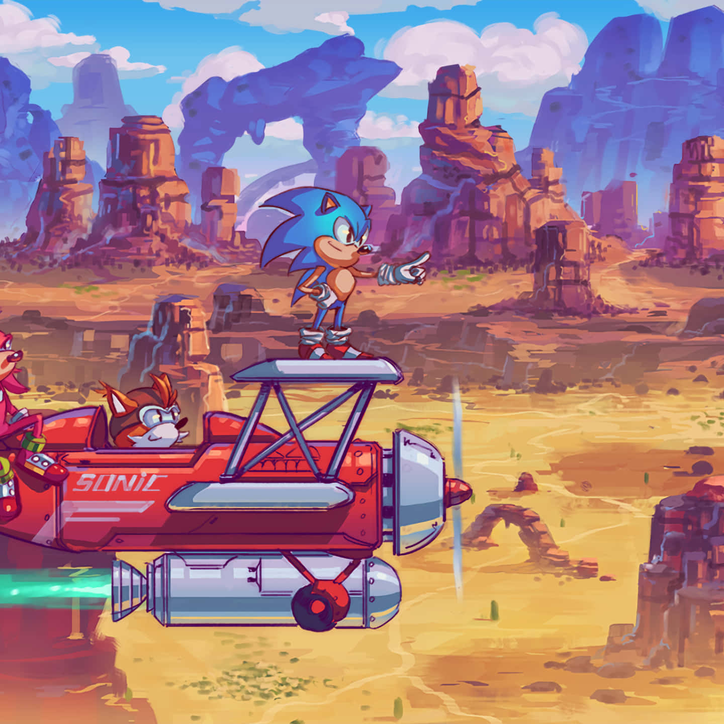 Sonic the Hedgehog 喺一架紅色飛機上面飛過一個沙漠峽谷。