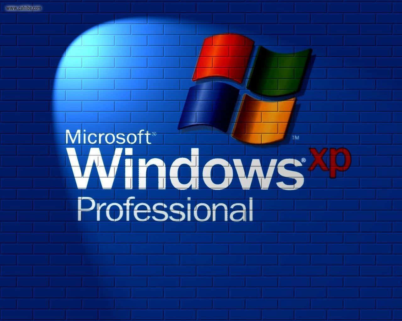 體驗 Windows XP 的強大效能 壁紙 — Windows XP Professional 標誌在紋理藍色磚牆上被聚光燈照亮。