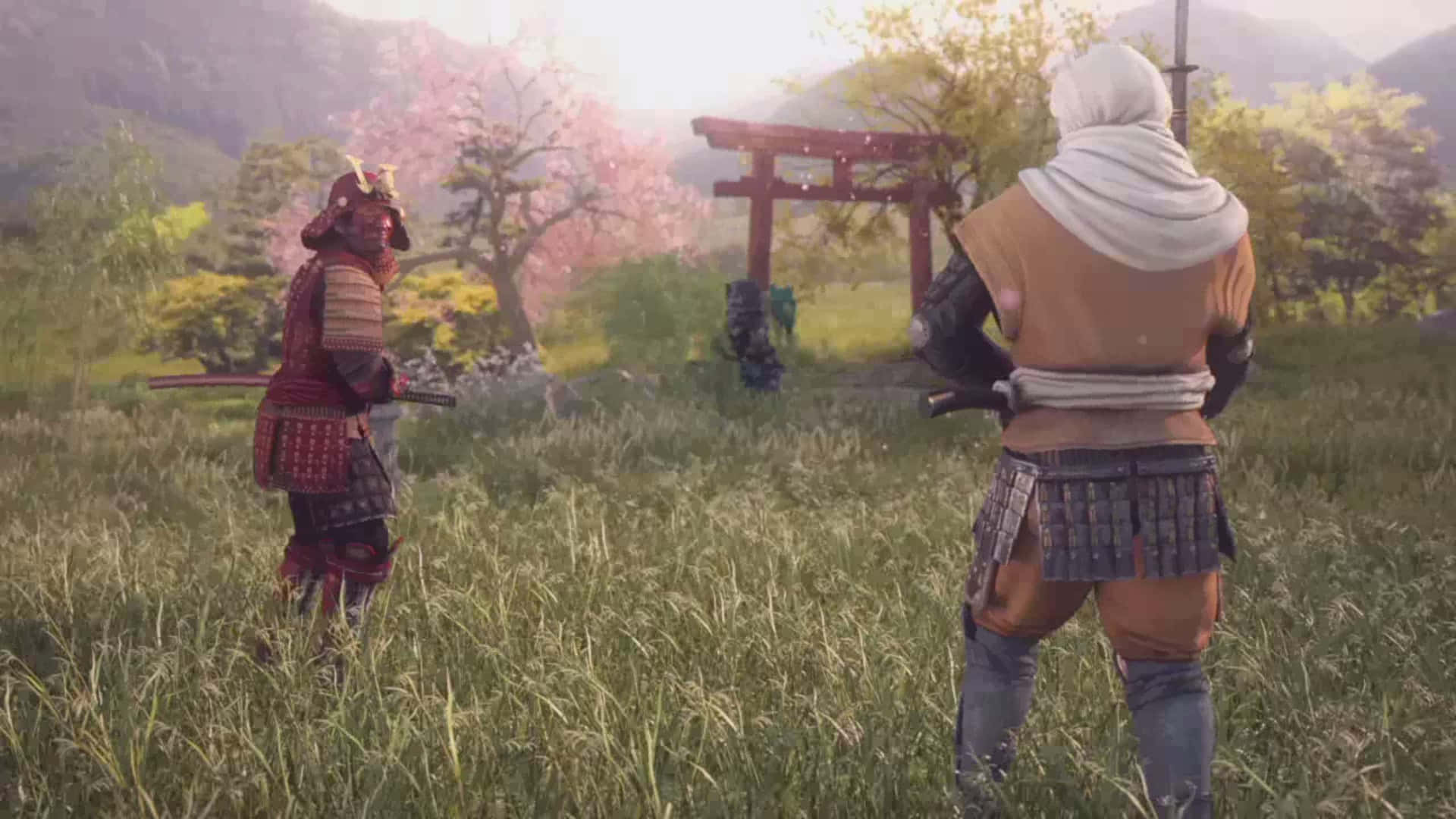 兩名武士戰士站在草地上，在櫻花下的鳥居附近面對面。