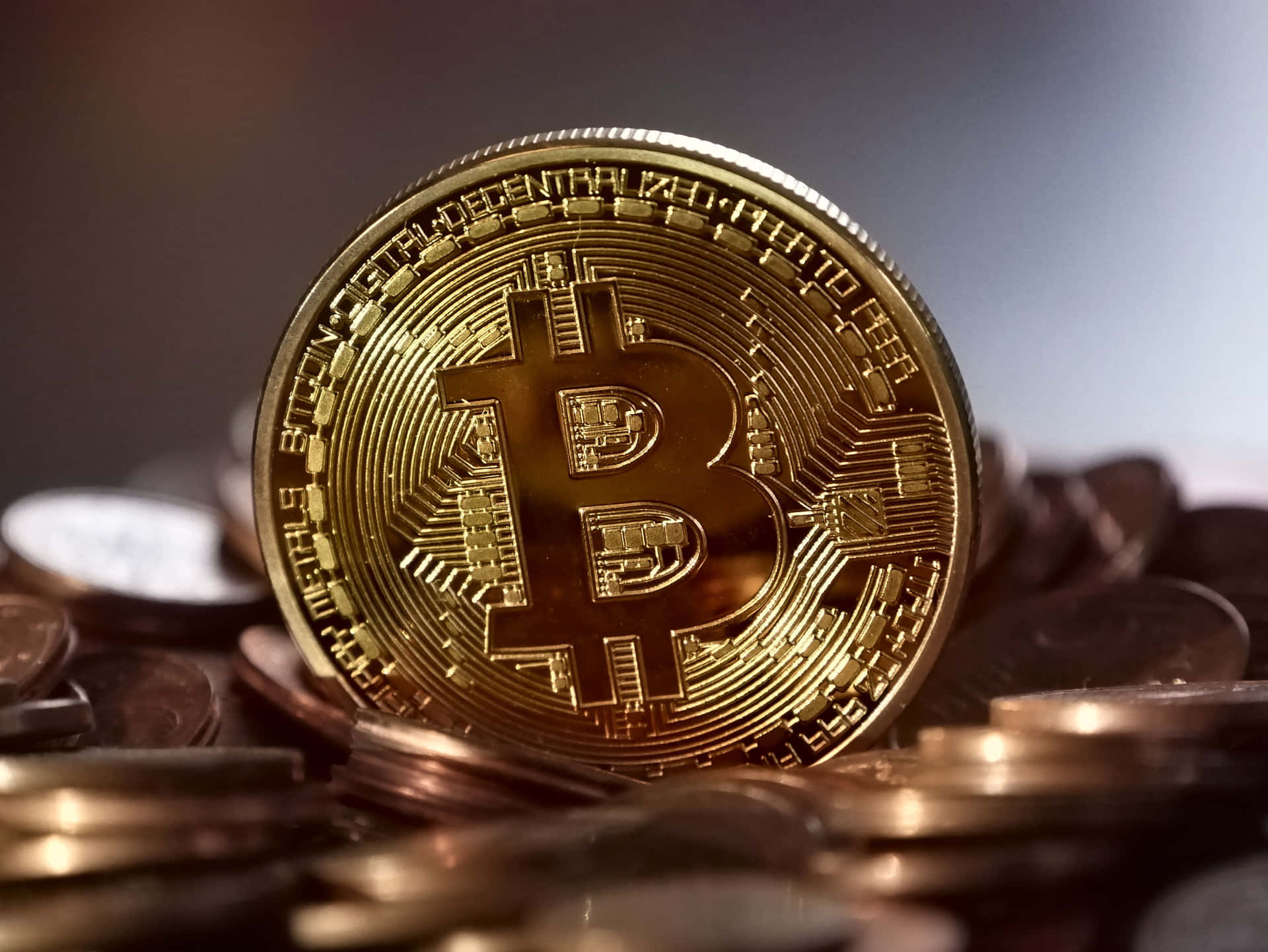 一枚金色比特幣硬幣被其他硬幣包圍。
