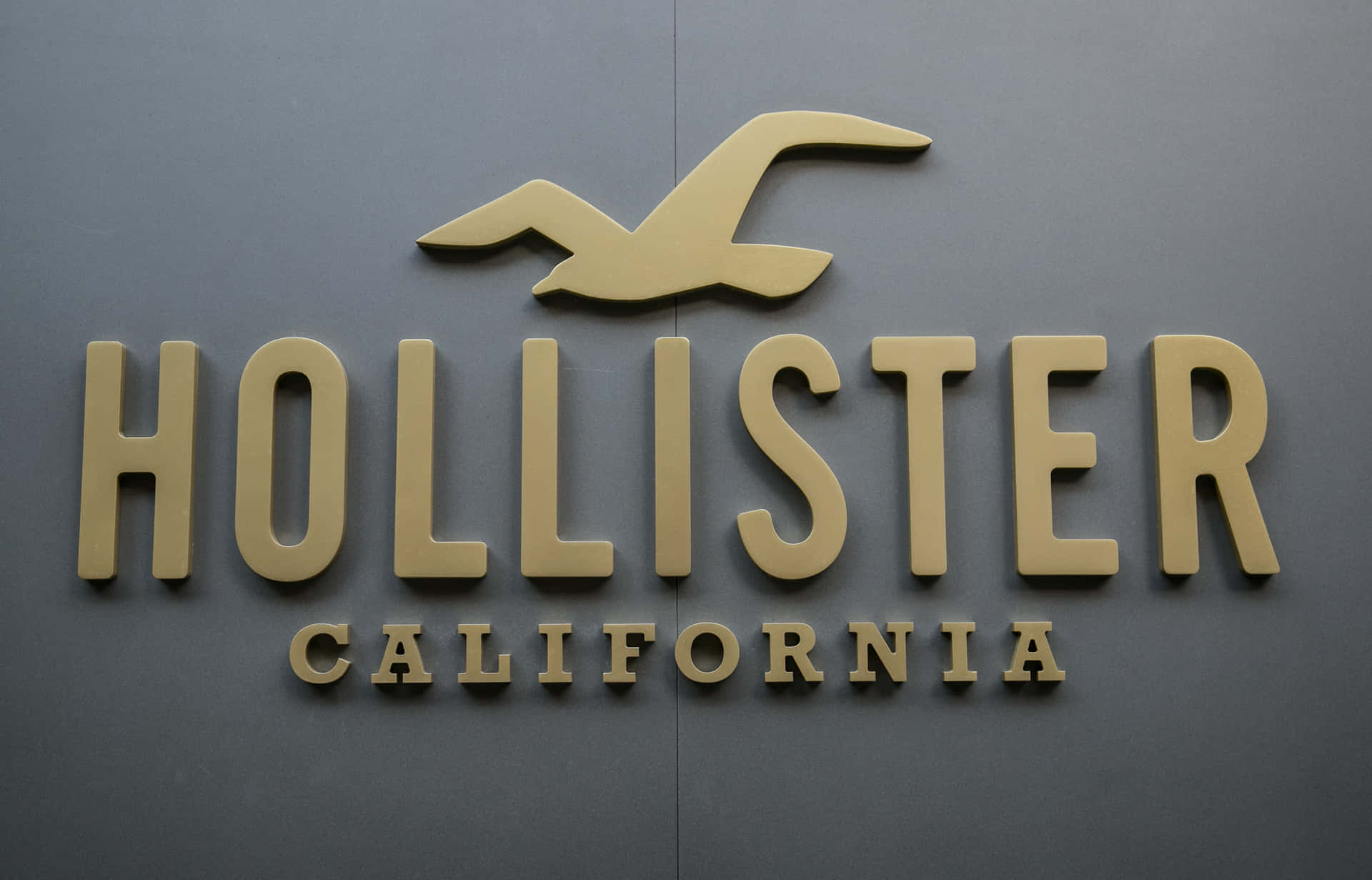 Hollister California商店標誌，灰色牆上有海鷗標誌。