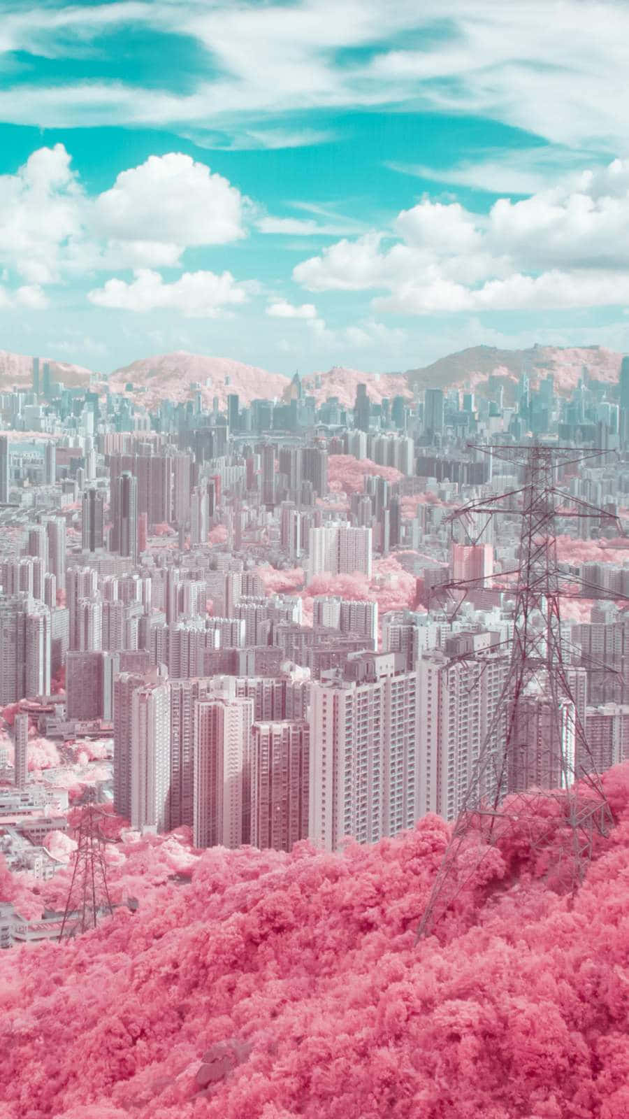 在藍綠色天空下，粉紅色森林覆蓋的山丘聳立在現代城市旁邊。