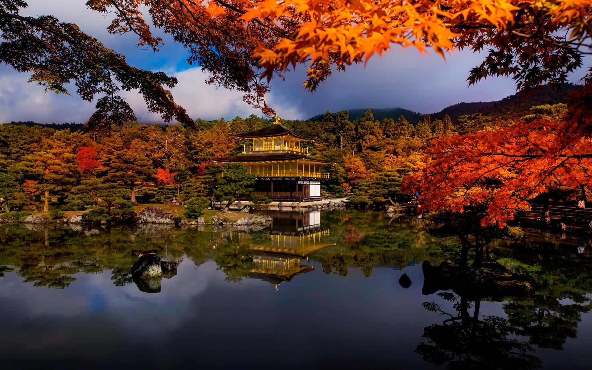 金色寺廟倒映在平靜的水中，鮮豔的秋樹框住場景。