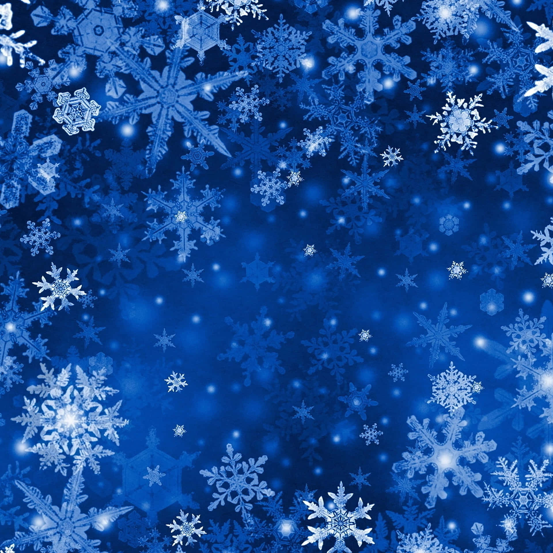 發光的雪花在深藍色的冬夜天空中飄浮。