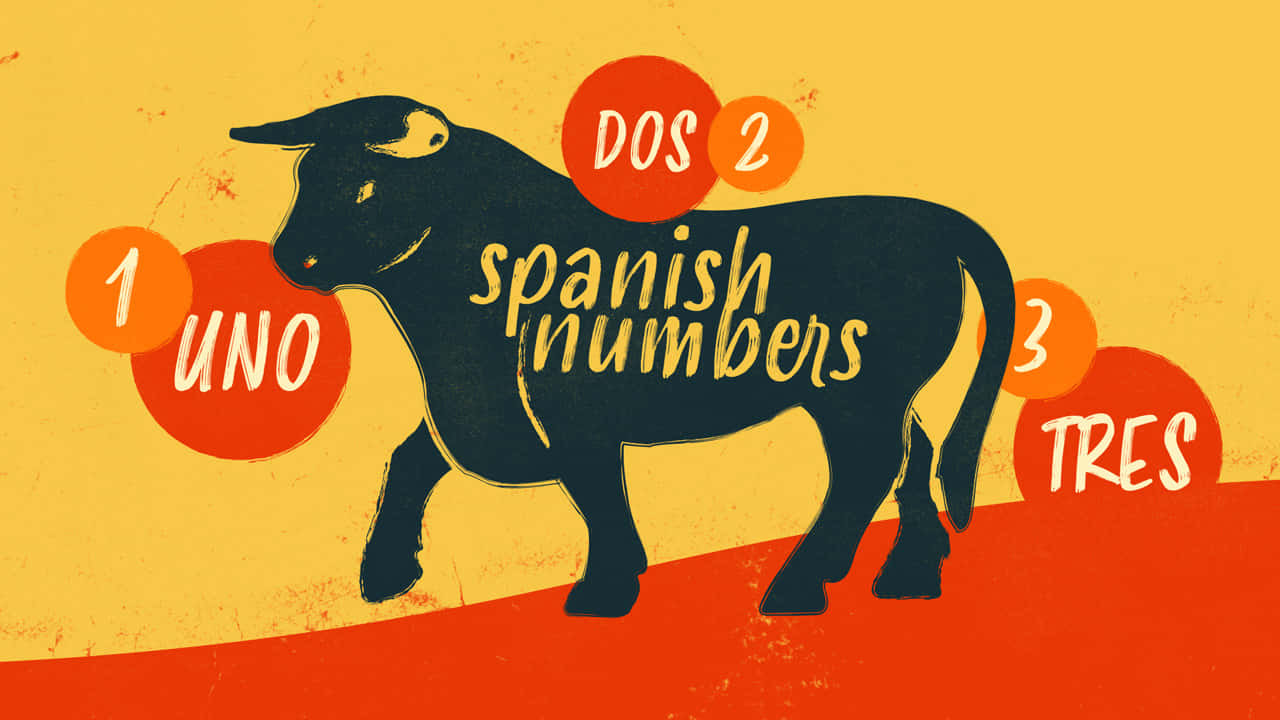 公牛插圖，附有西班牙數字 uno dos tres，用於學習。
