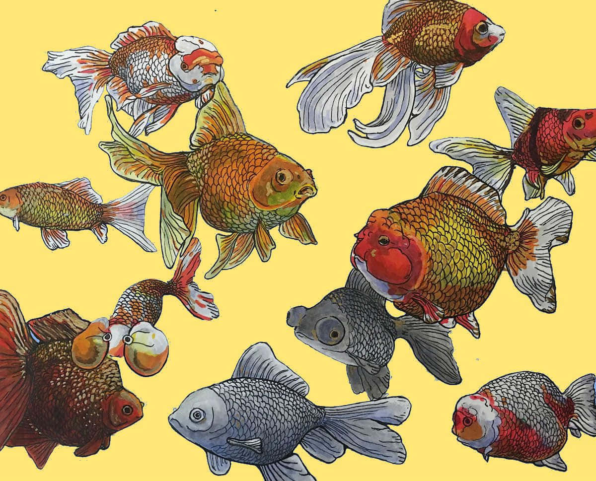 體驗金魚水族箱的寧靜感！ 壁紙 — 色彩鮮豔的插圖金魚，擁有流動的魚鰭，在純黃色背景上動態游動。