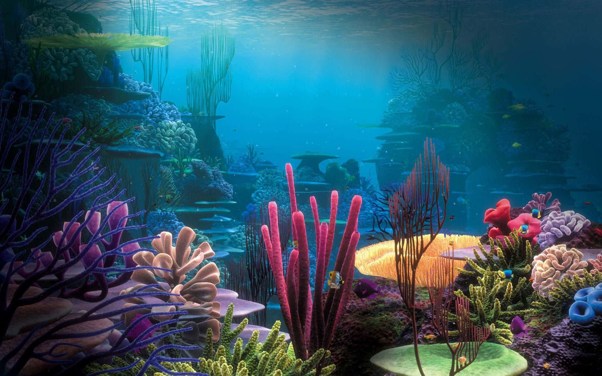 高品質珊瑚魚缸背景 壁紙 — 充滿活力的珊瑚礁，色彩繽紛的海洋生物在穿透海面的陽光中沐浴。