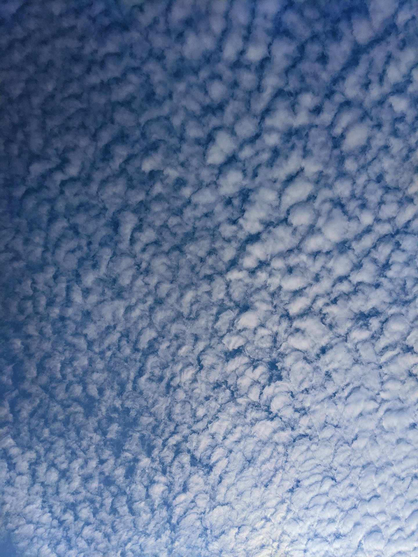 深藍色背景上覆蓋著蓬鬆白雲的天空。