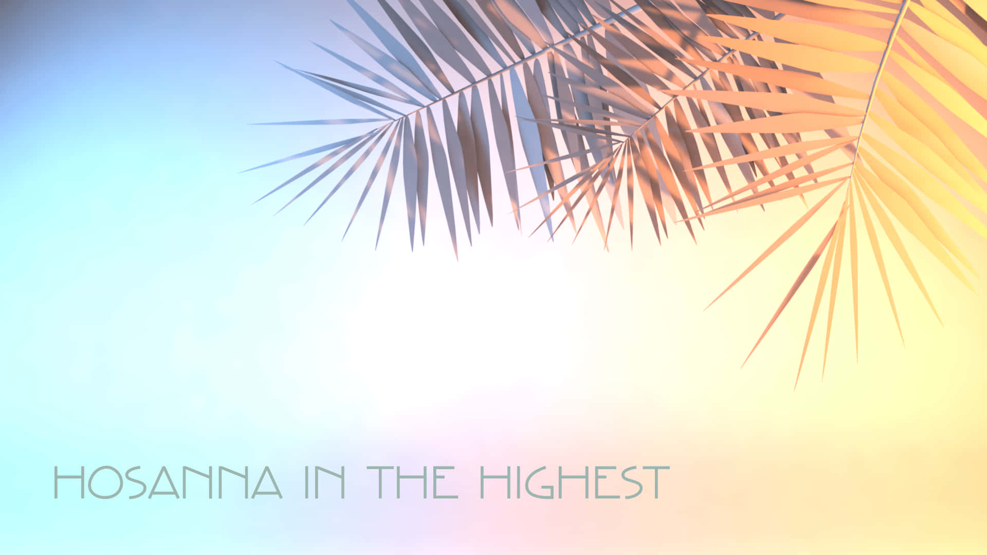 「高唱 Hosanna」棕櫚主日漸層背景 壁紙 — 棕櫚葉優雅地彎曲，映襯著從冷藍色過渡到暖黃色的柔和漸變天空。