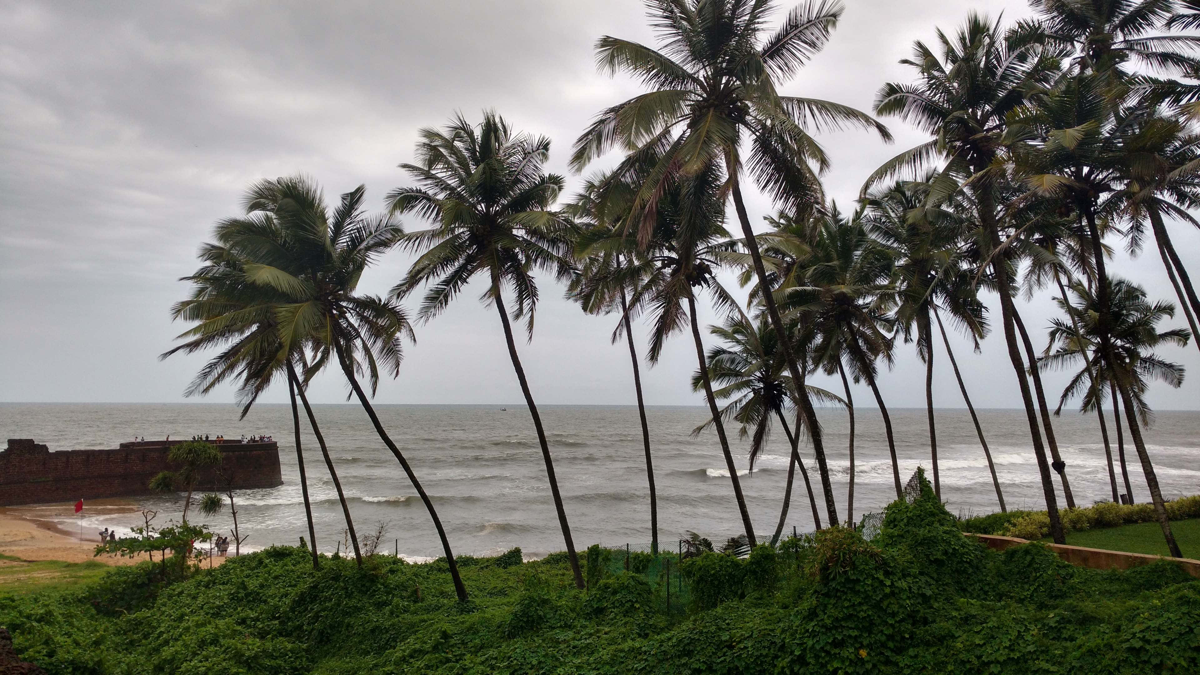 Coconut Tree 桌布 壁紙 — 高大的棕櫚樹在風中搖曳，襯著多雲的天空，俯瞰著波濤洶湧的海洋，遠處有一座石堡。