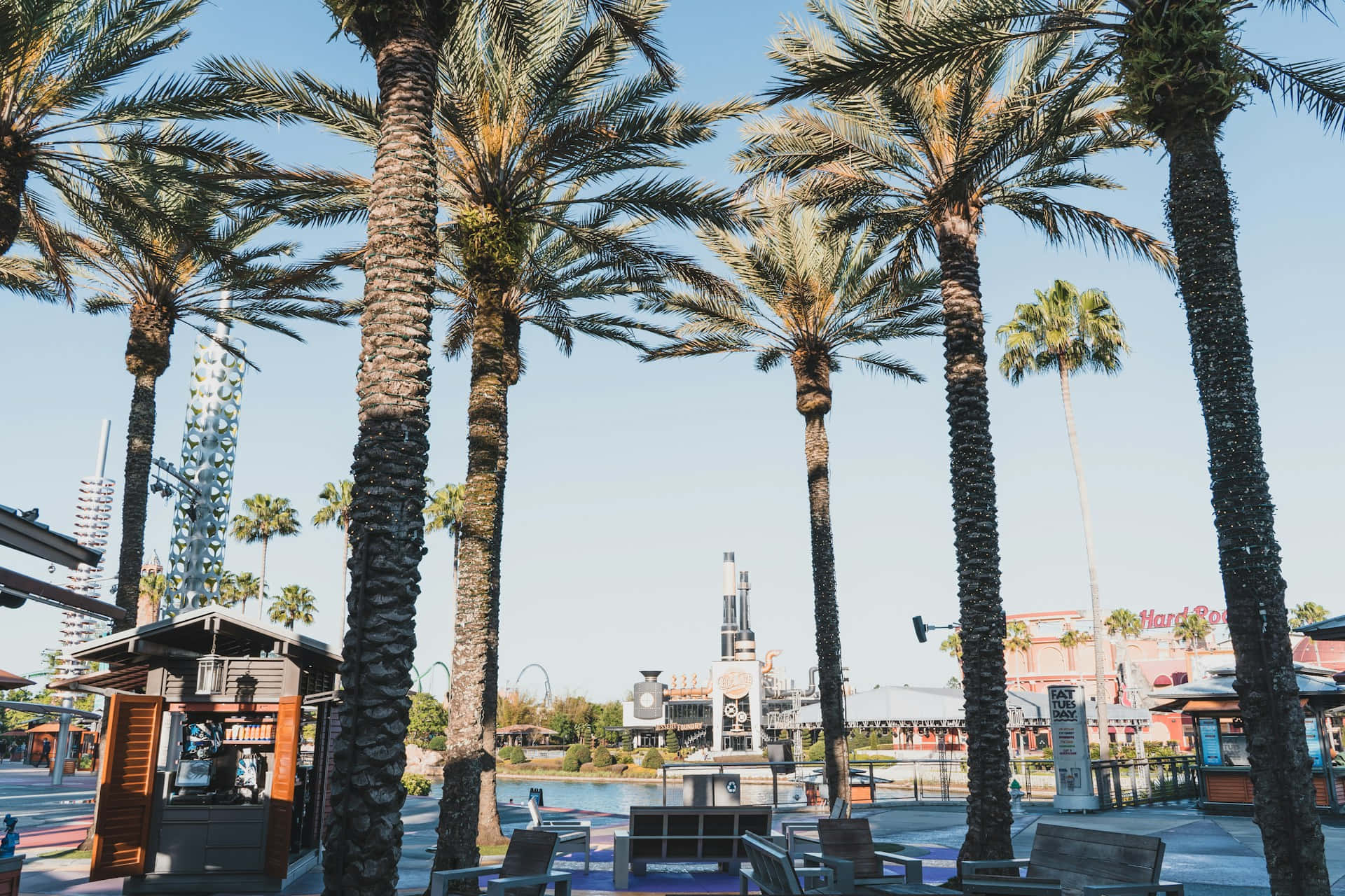 Orlando 桌布 壁紙 — 高大的棕櫚樹環繞著一個陽光明媚的戶外廣場，設有躺椅和遠處的 Hard Rock Cafe，背景是清澈的藍天。