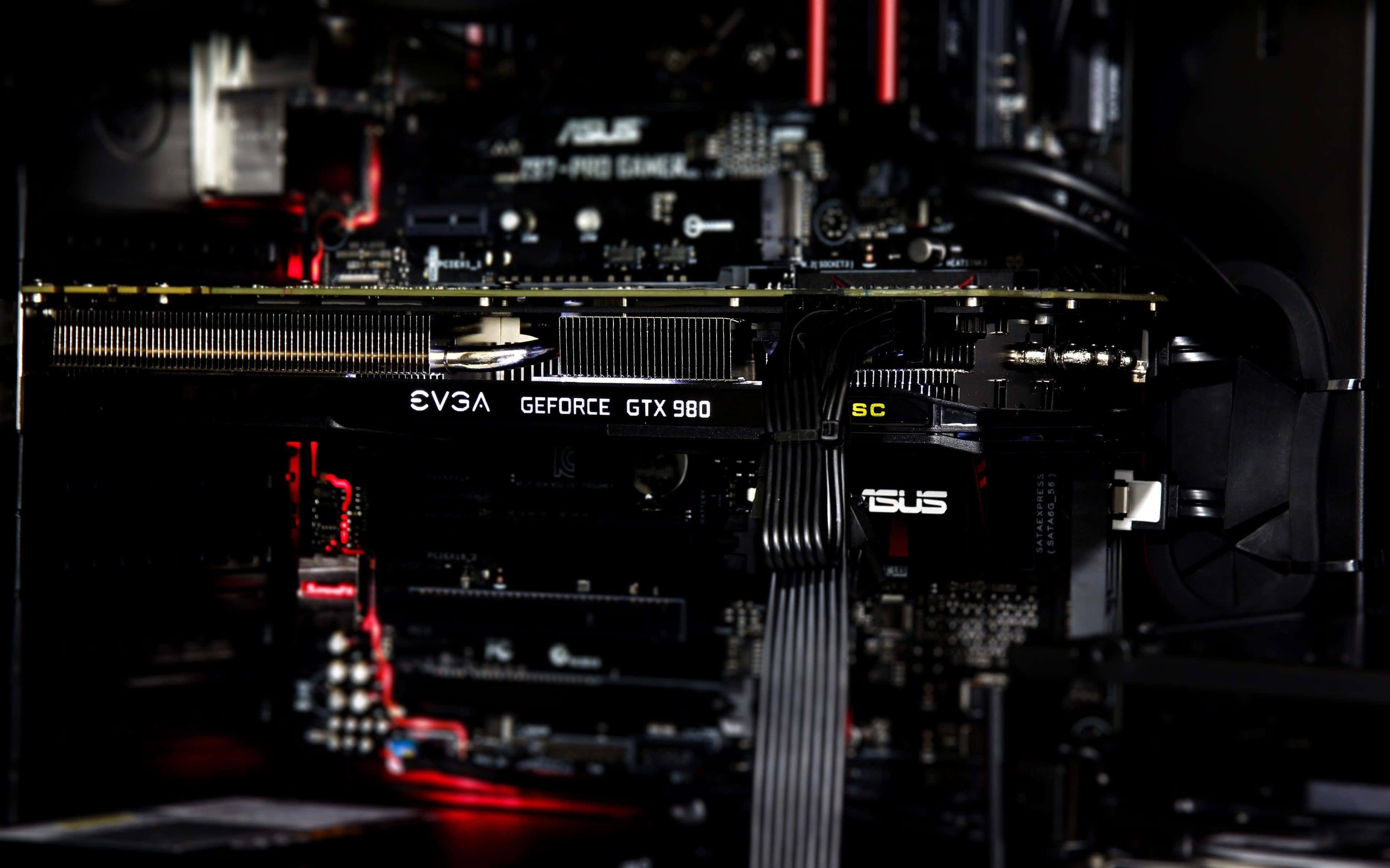 4K Graphics Cards 桌布 壁紙 — 高性能遊戲電腦特寫，帶有紅色LED燈效和可見的EVGA GeForce GTX 980顯示卡。